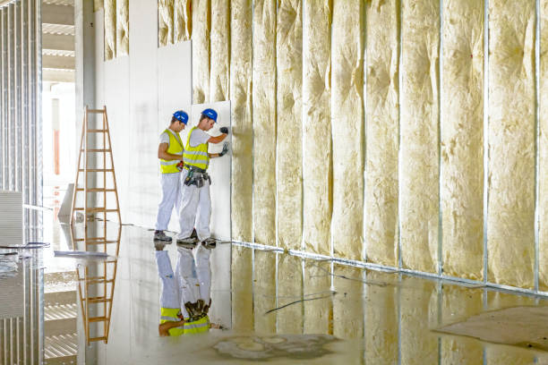 Best Insulation Installation Services in Baldwin Park, CA